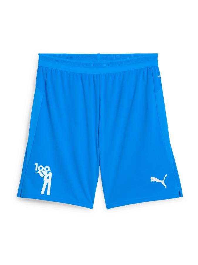 PUMA teamCUP Shorts