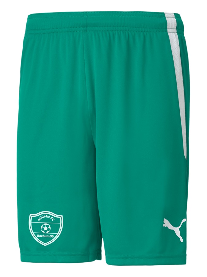 PUMA teamLIGA Shorts
