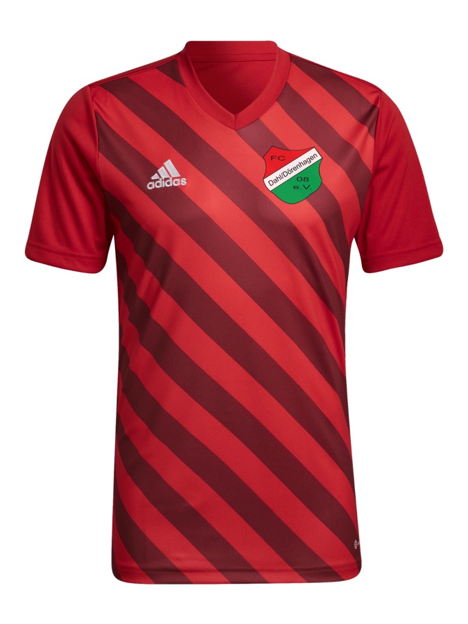 adidas Entrada 22 GFX Trikot