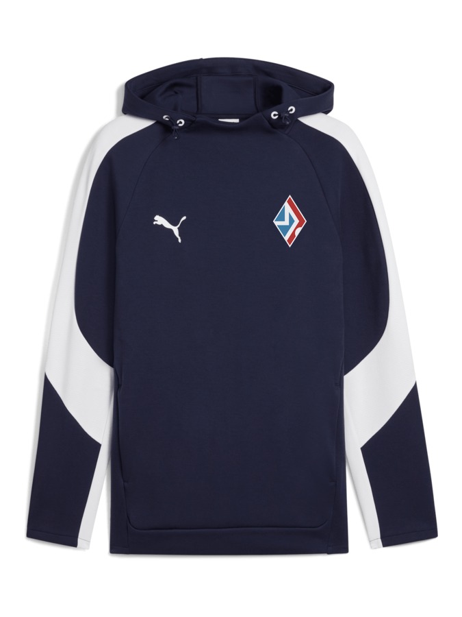 PUMA teamEVOSTRIPE Hoody
