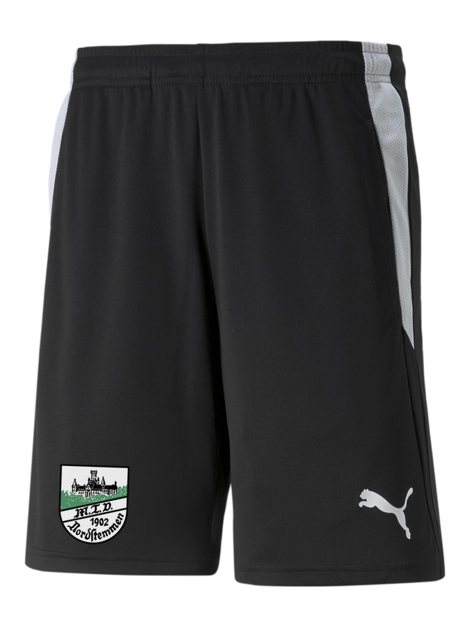 PUMA teamLIGA Referee Shorts