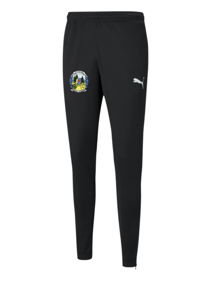 PUMA teamRISE Poly Trainingshose