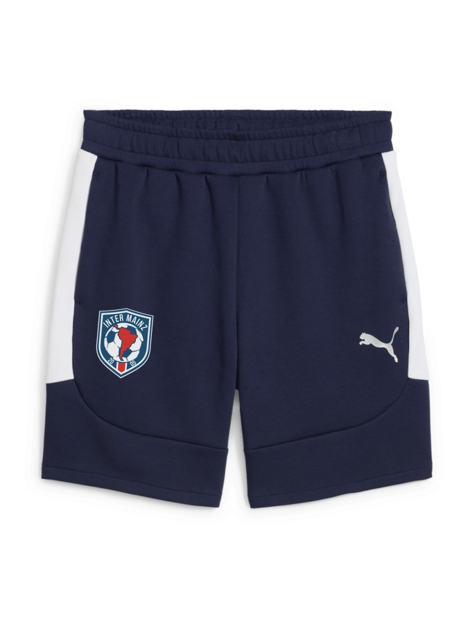 PUMA teamEVOSTRIPE Shorts