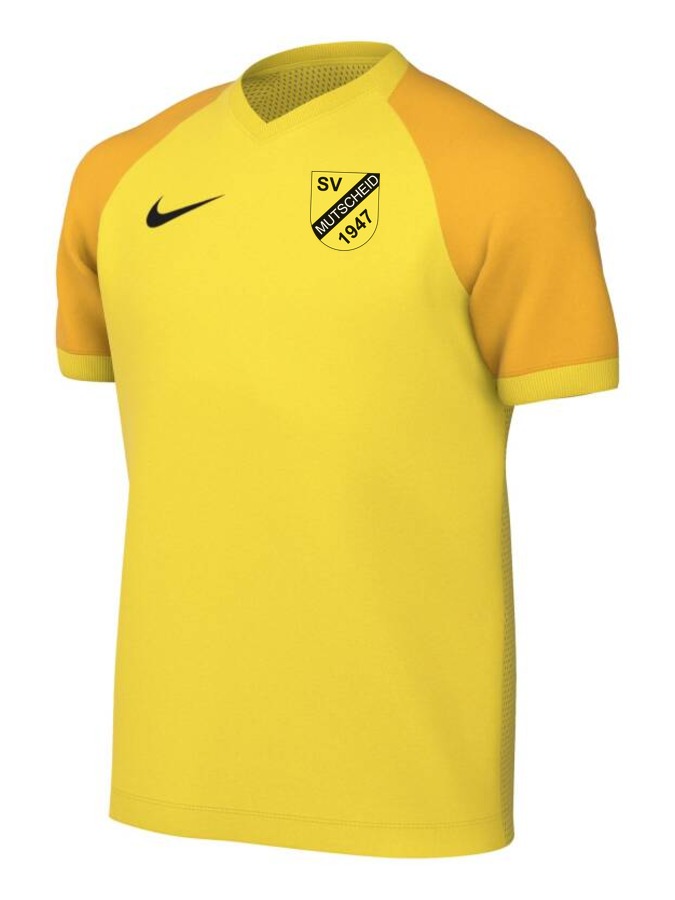 Nike Trophy VI Trikot Kinder