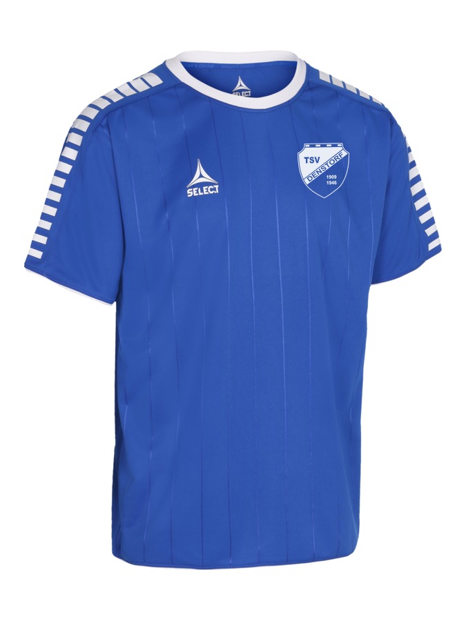 Select Argentina Trikot