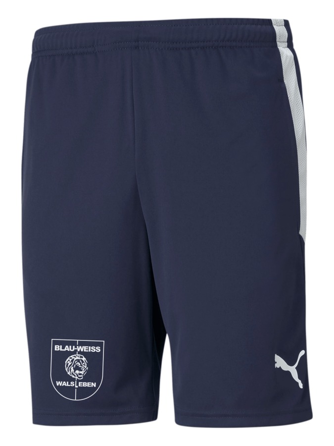 PUMA teamLIGA Training Shorts
