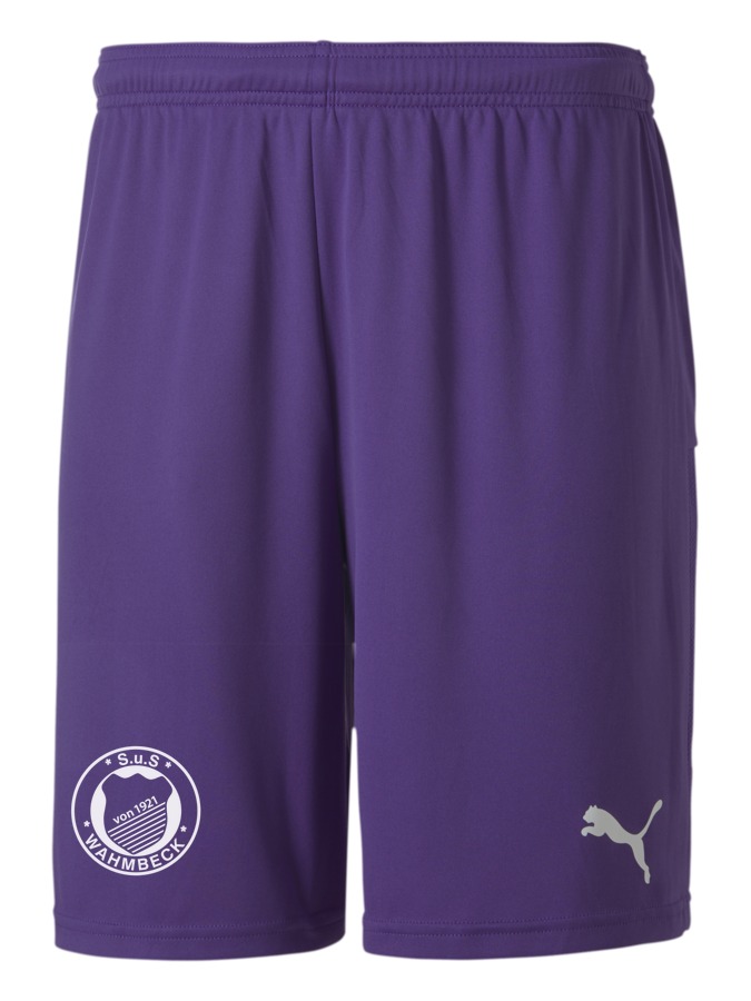 PUMA teamGOAL 23 Knit Shorts