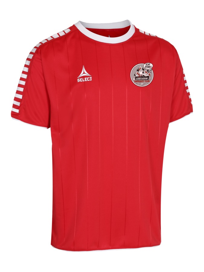 Select Argentina Trikot