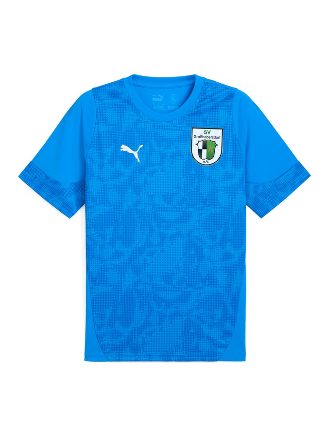 PUMA teamCUP Trainingsshirt