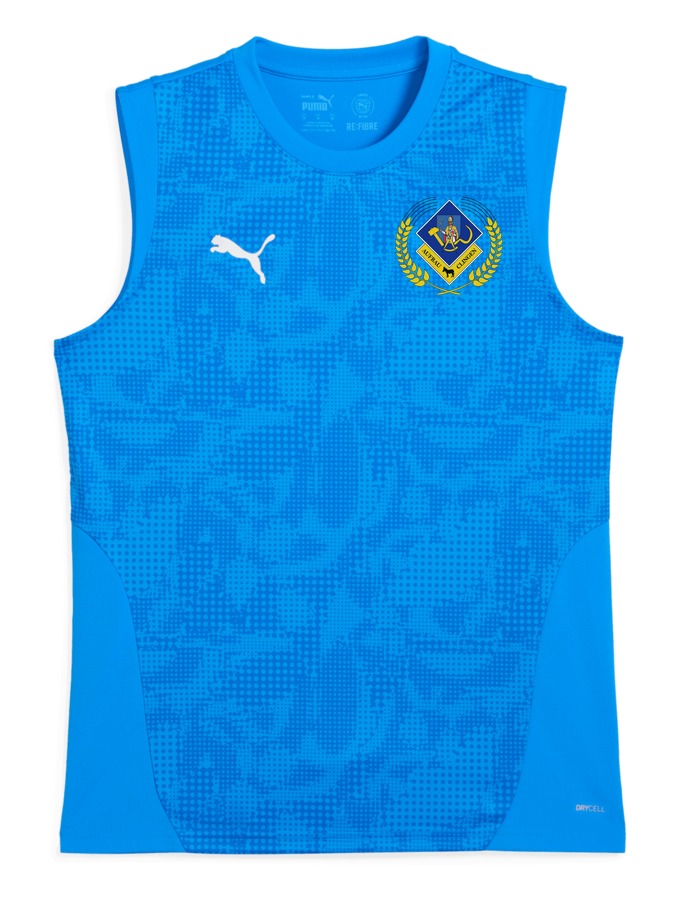 PUMA teamCUP Training Sleeveless Trikot