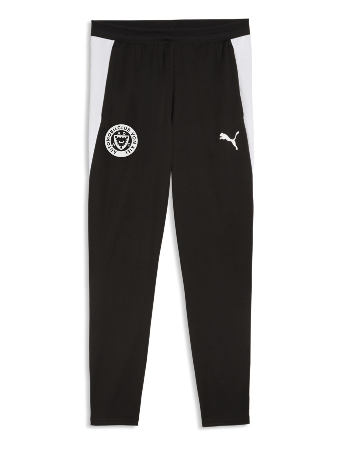 PUMA teamFINAL26 Trainingshose
