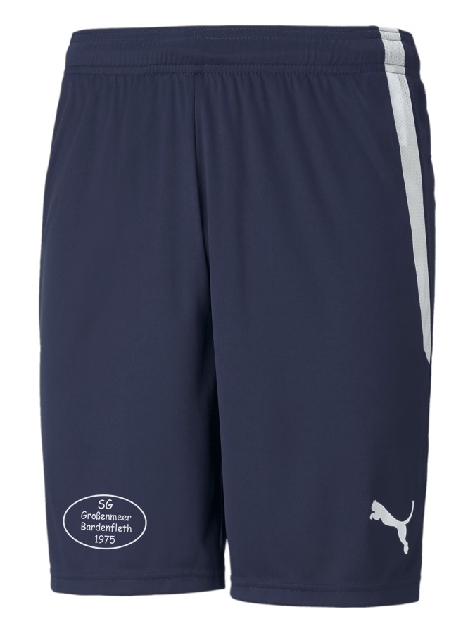 PUMA teamLIGA Shorts