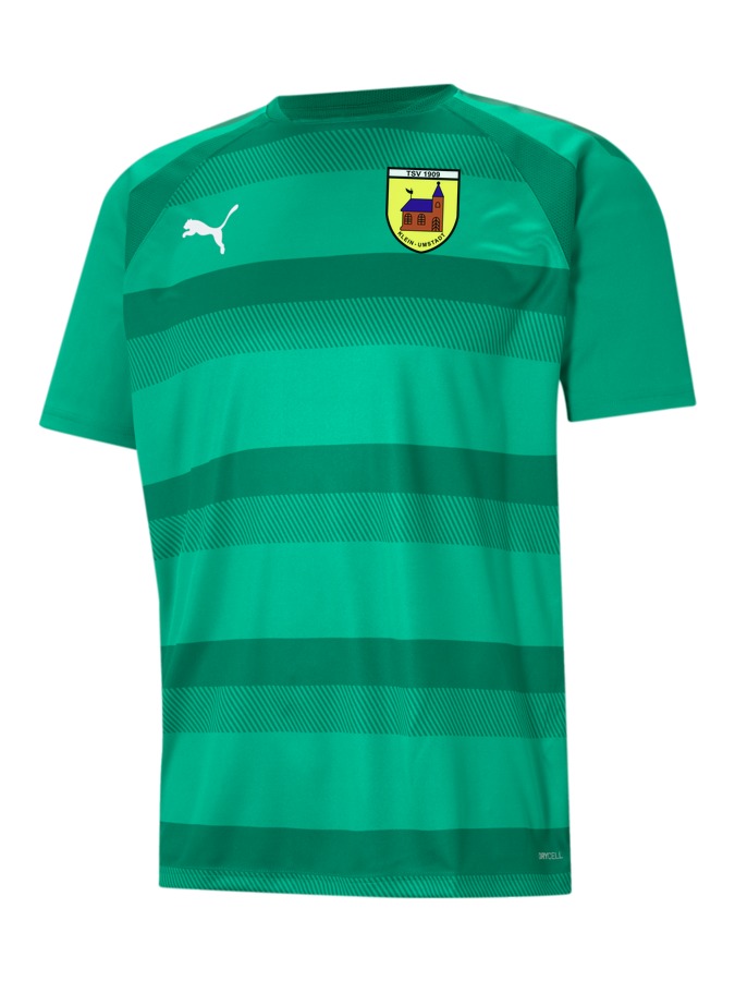 PUMA teamVISION Trikot