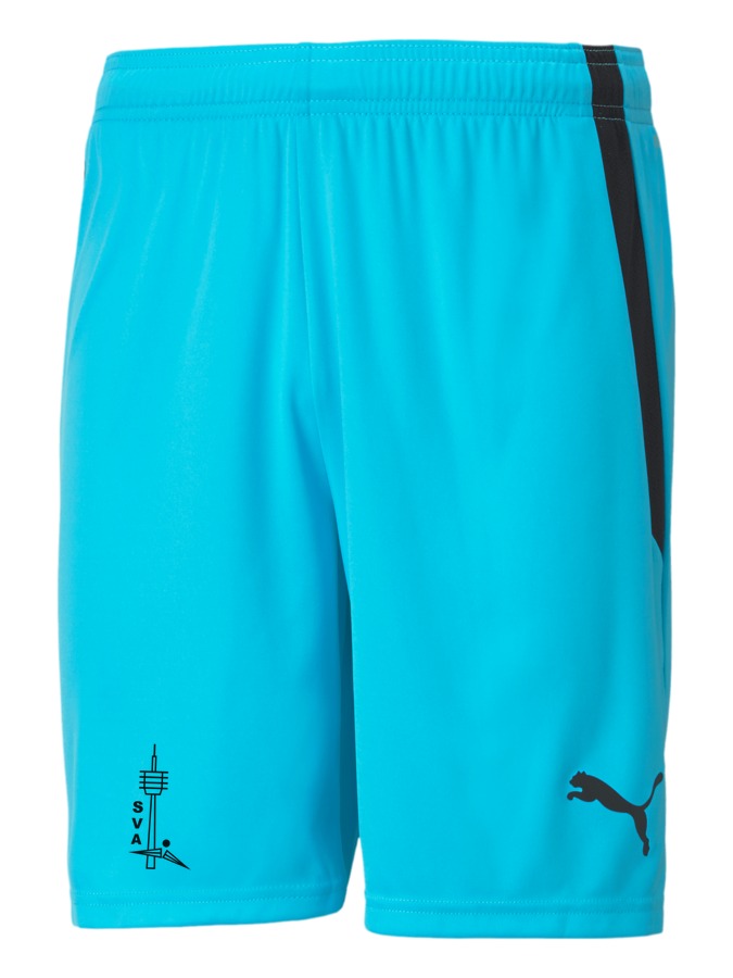 PUMA teamLIGA Shorts