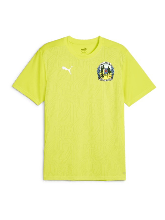 PUMA teamFINAL Trainingsshirt