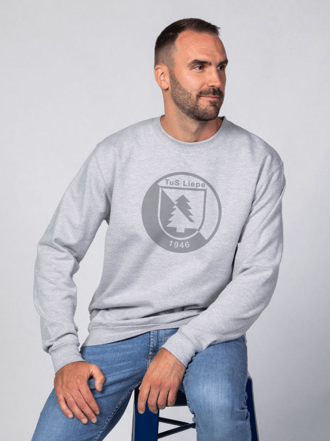 Sweater All Grey Herren