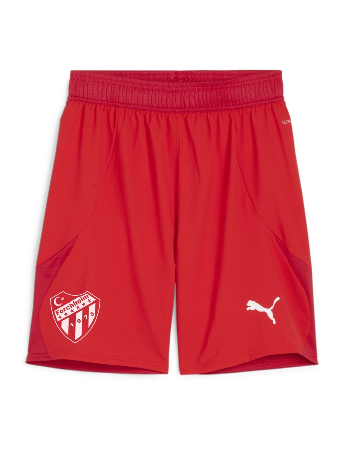 PUMA teamFINAL Shorts