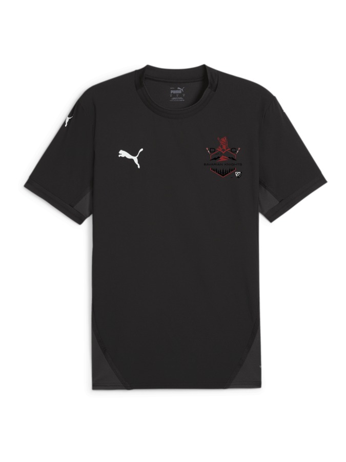 PUMA teamFINAL Trikot