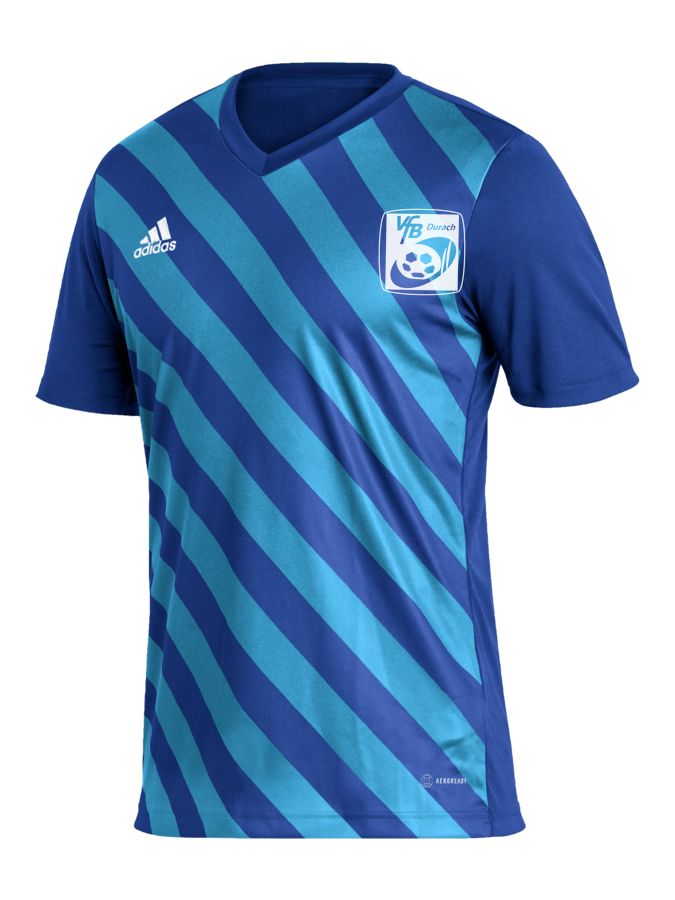 adidas Entrada 22 GFX Trikot