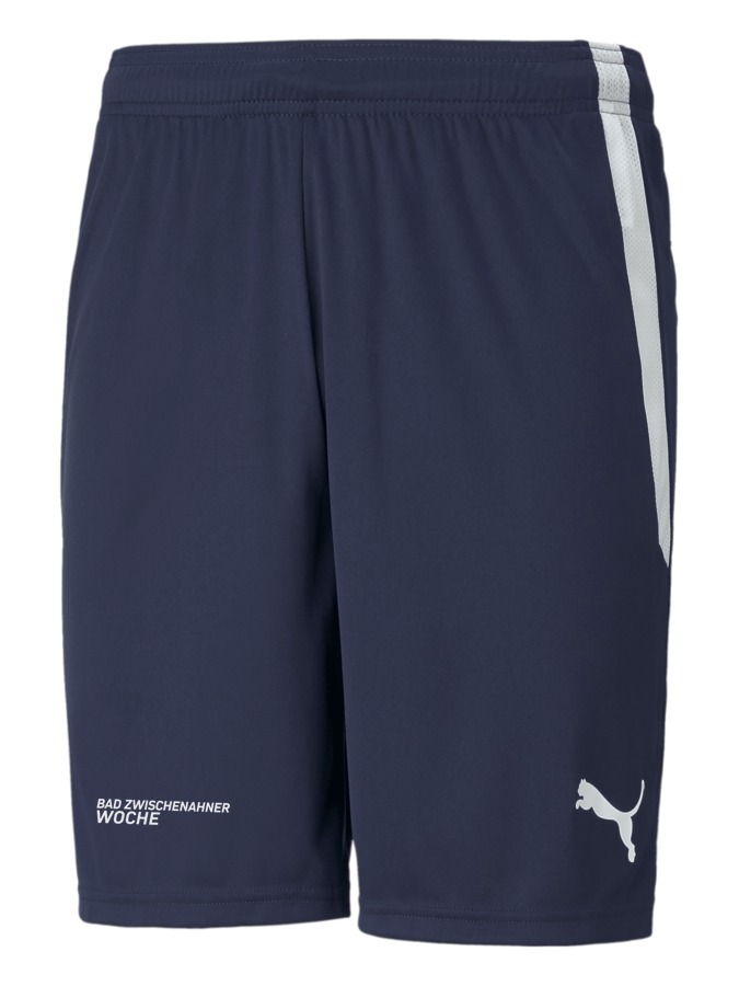 PUMA teamLIGA Shorts