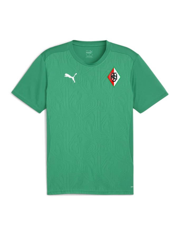 PUMA teamFINAL Trainingsshirt