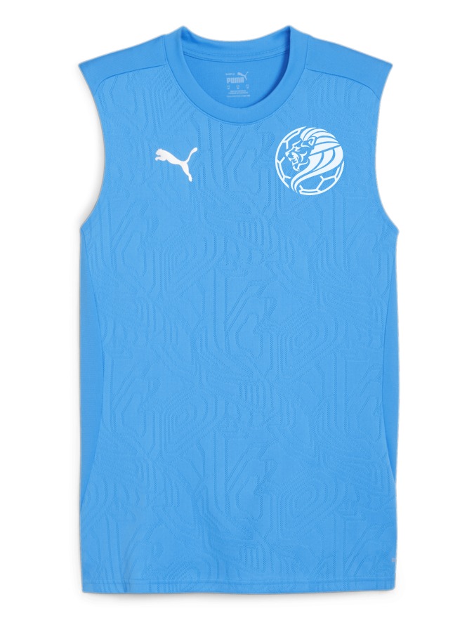 PUMA teamFINAL Trainingstanktop