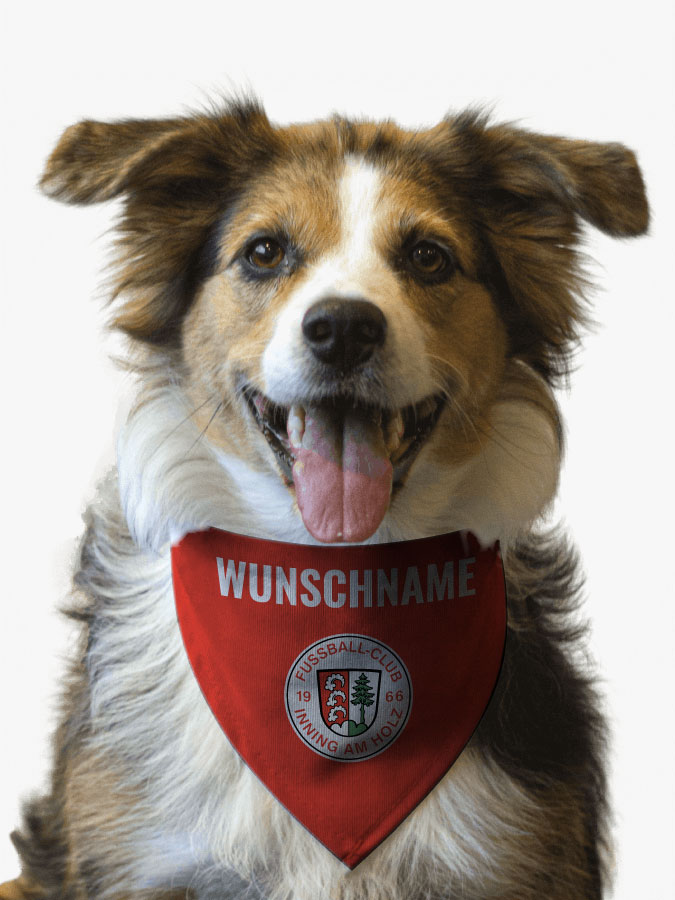 Hundehalstuch