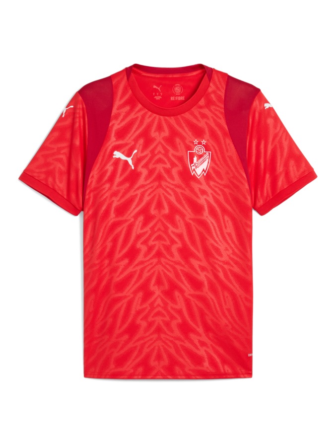 PUMA teamCUP Trikot