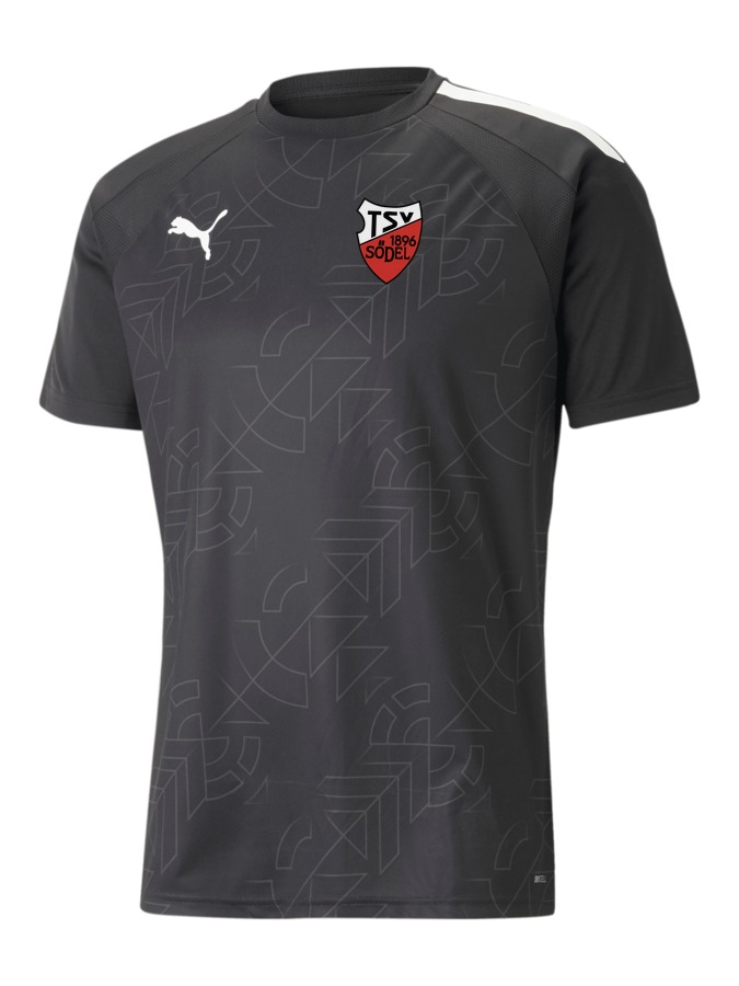 PUMA teamLIGA Graphic Trikot