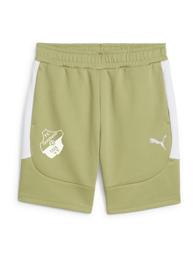 PUMA teamEVOSTRIPE Shorts