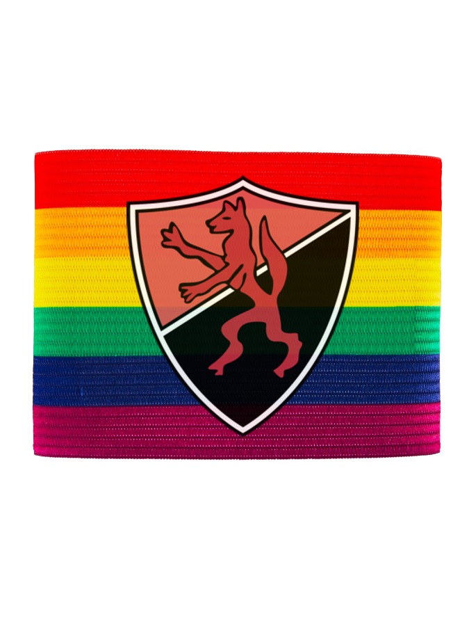 Kapitänsbinde Regenbogen