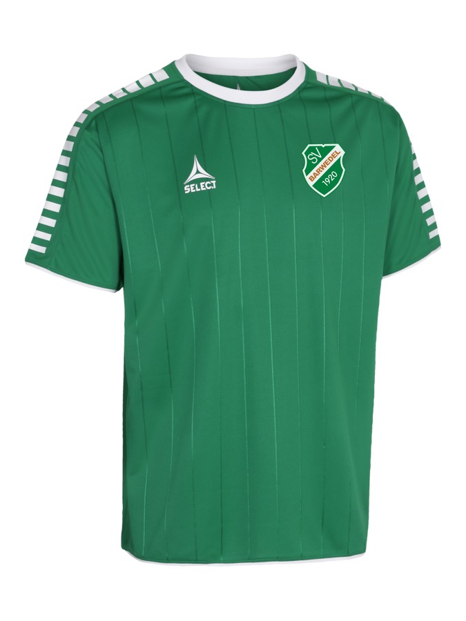 Select Argentina Trikot