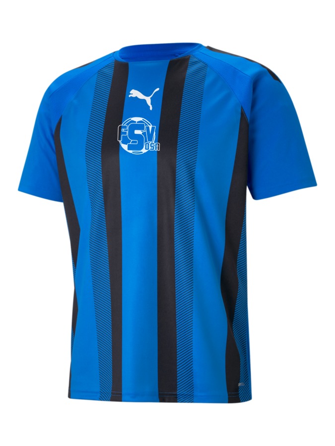 PUMA teamLIGA Striped Trikot