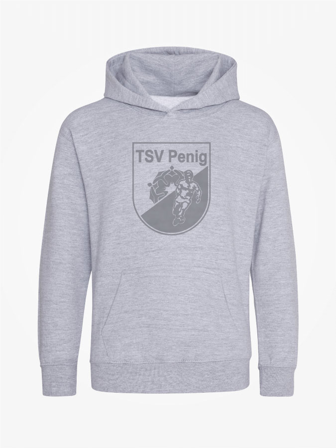 Hoodie All Grey Kids Unisex