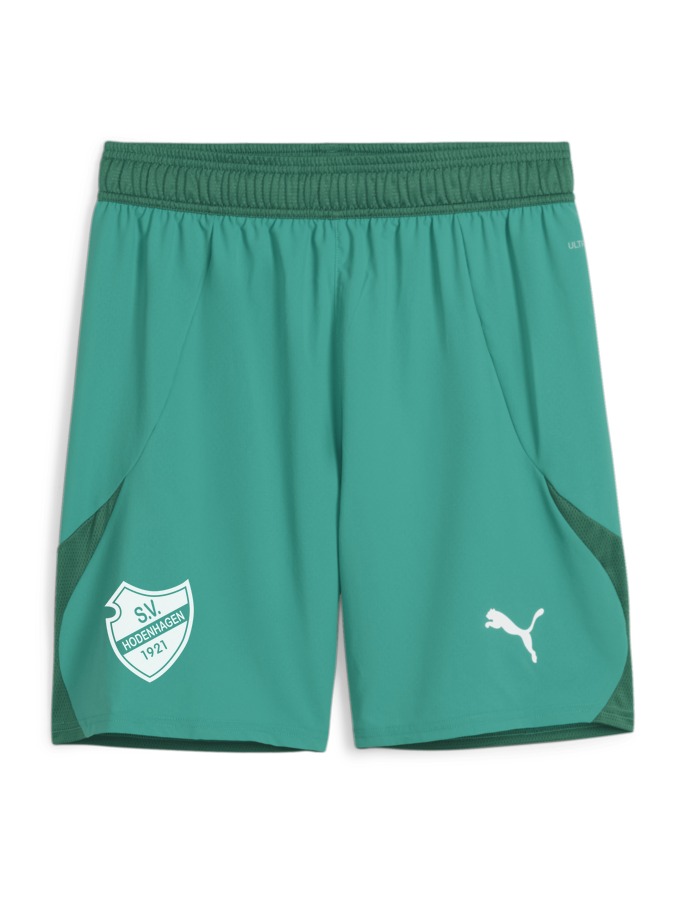 PUMA teamFINAL Shorts