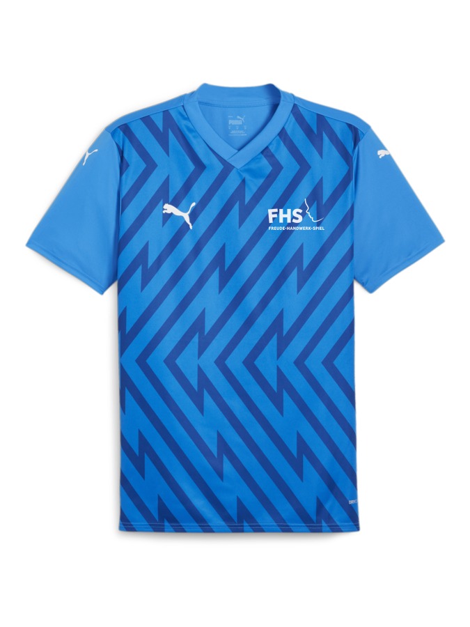 PUMA teamGLORY Trikot