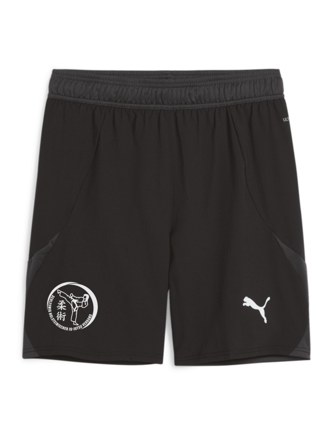 PUMA teamFINAL Shorts