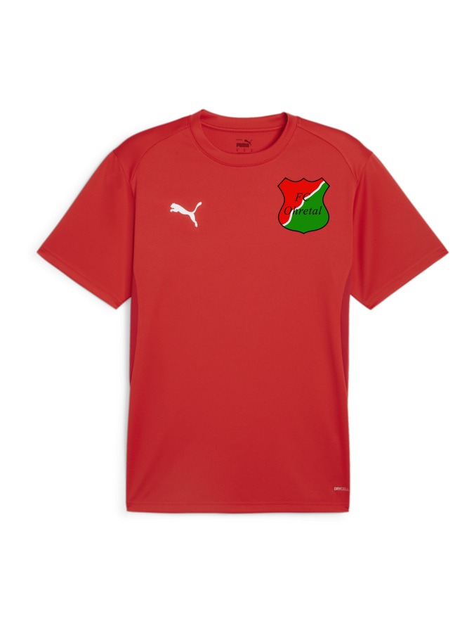 PUMA teamGOAL Trikot