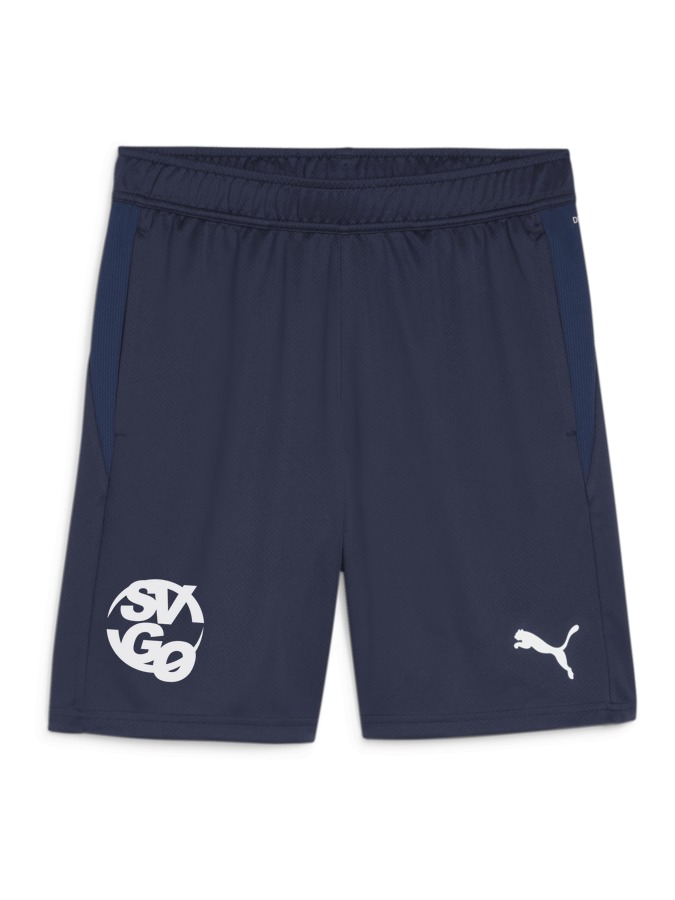 PUMA teamGOAL Training Short
