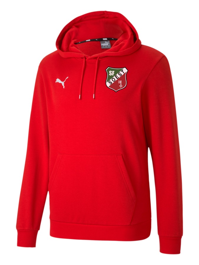 PUMA teamGOAL 23 Casuals Hoody