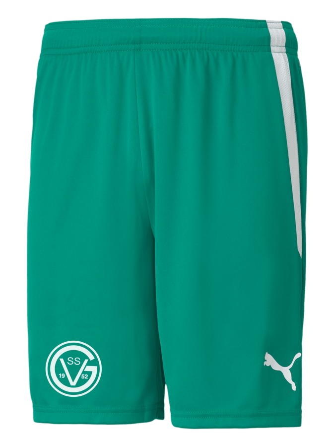 PUMA teamLIGA Shorts