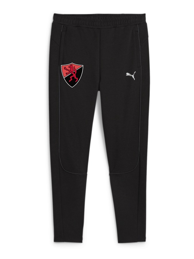PUMA teamFINAL Casuals Hose Damen