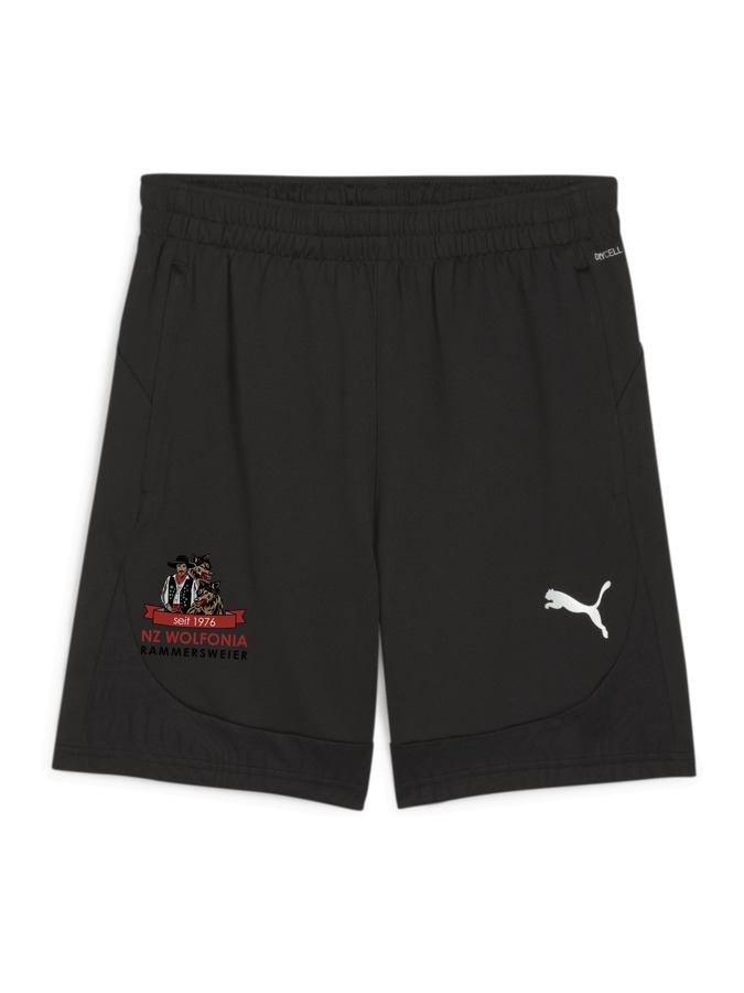 PUMA teamFINAL Training Shorts