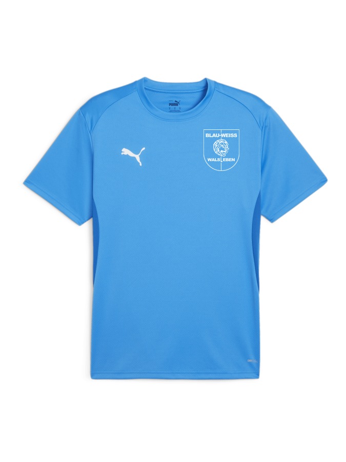 PUMA teamGOAL Trikot