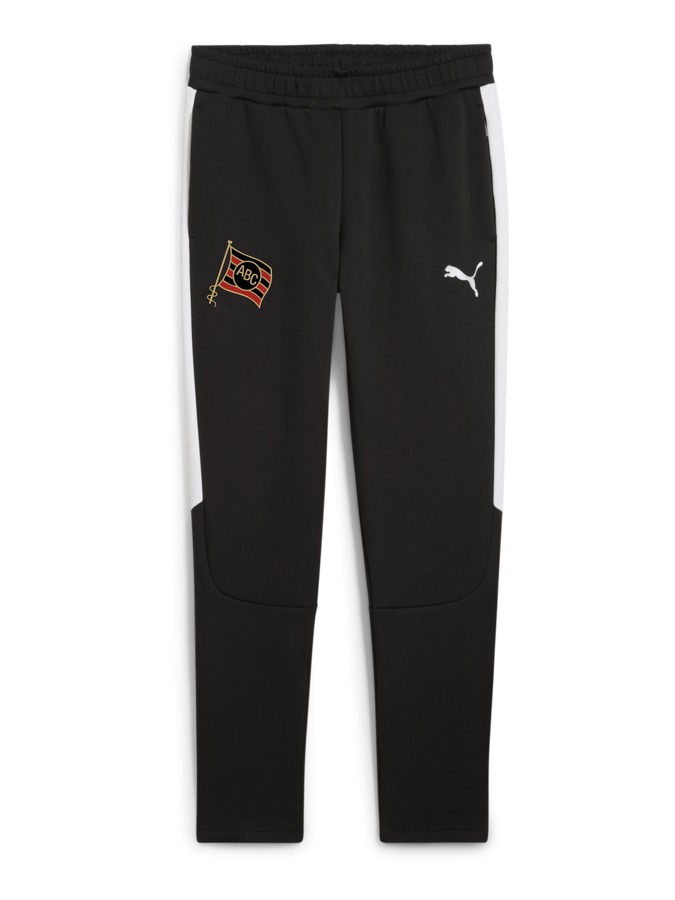 PUMA teamEVOSTRIPE Hose