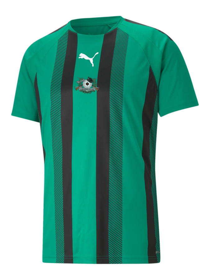PUMA teamLIGA Striped Trikot