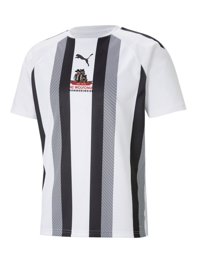 PUMA teamLIGA Striped Trikot