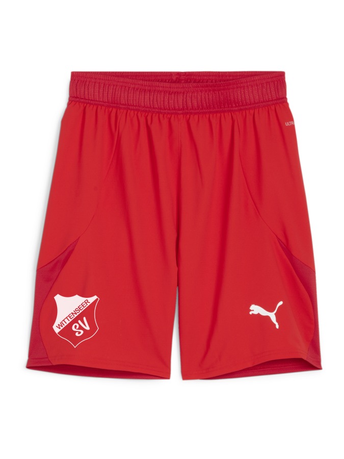 PUMA teamFINAL Shorts