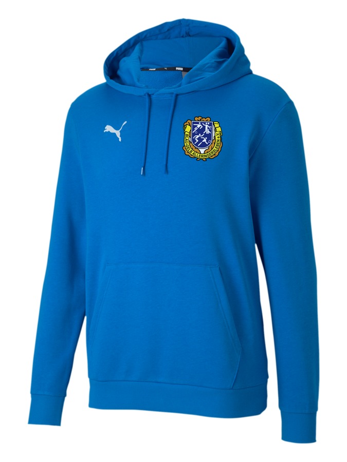 PUMA teamGOAL 23 Casuals Hoody