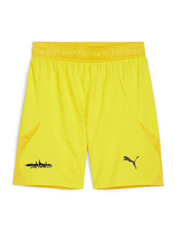 PUMA teamFINAL Shorts